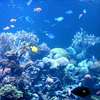 Aquarium