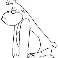 Macacos PB (1).jpg