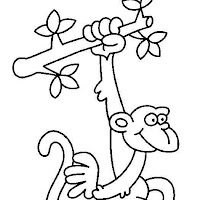 Macacos PB (9).jpg