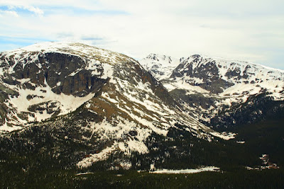 IMG_8441.jpg