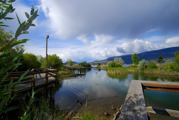 Kelowna marsh