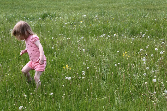 [2010_05_17_13_23_34[6].jpg]