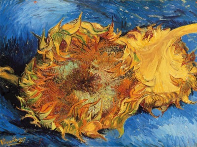 [sunflowers[5].jpg]