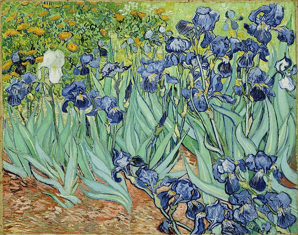 [760px-VanGoghIrises2[5].jpg]