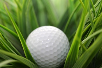 850golf_ball