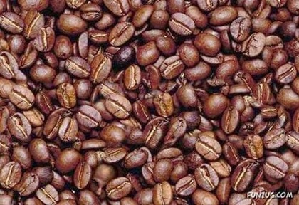 coffee_beans_test_01