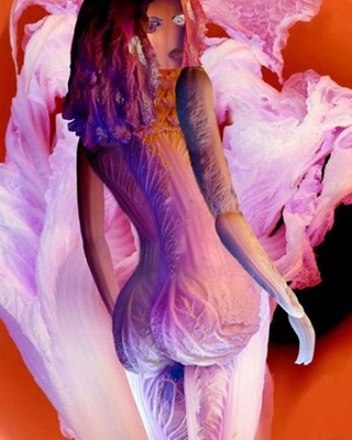 art_of_cabbage_11