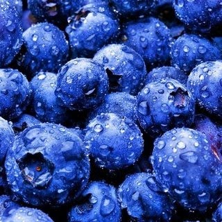 [blueberries[5].jpg]