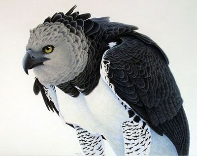 [12963378571036[5].jpg]