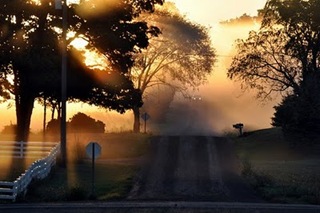 tumblr_l8nekvhhkI1qbvx8lo1_500
