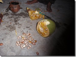 Jackfruit preparation 2