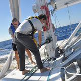 _DSC0786.JPG