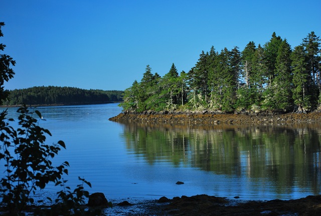 [maineJuly20101432.jpg]