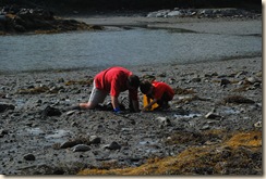finding clams