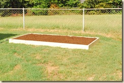 new garden