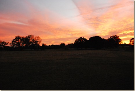 view from my porch