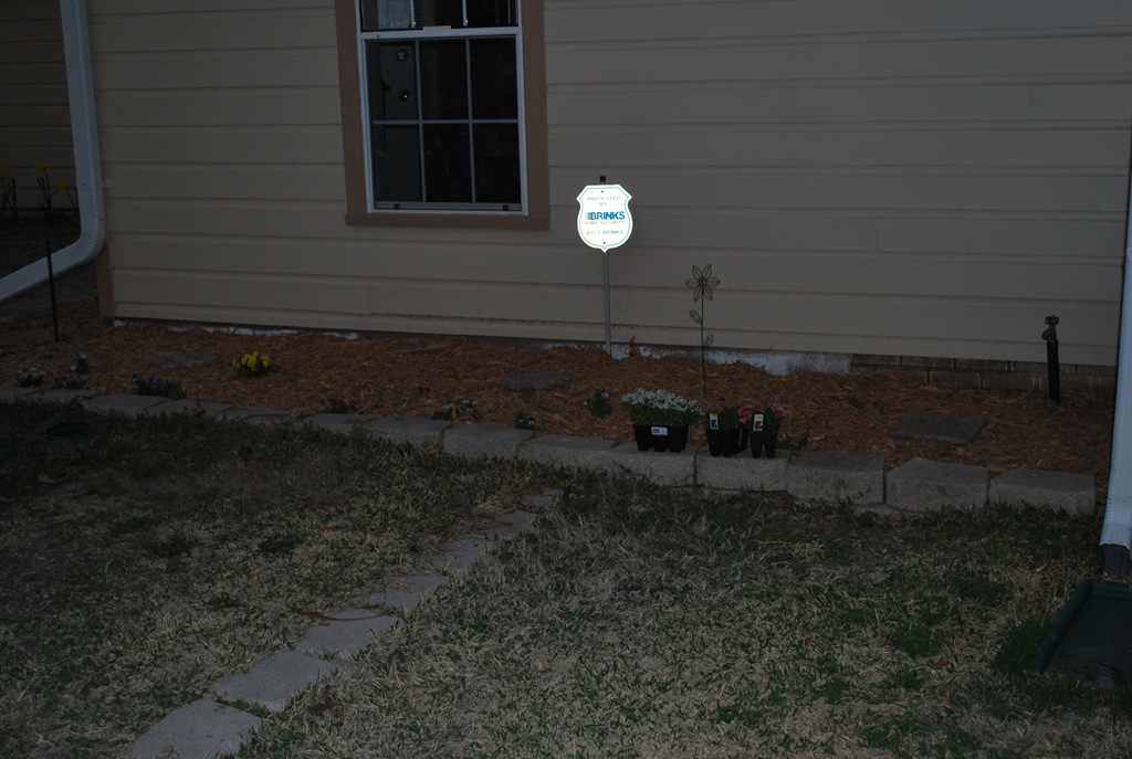 [more mulched bed[3].jpg]