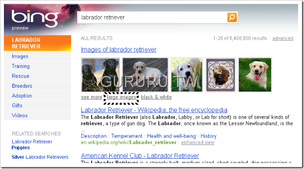 bing.com-12