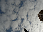 P1070504