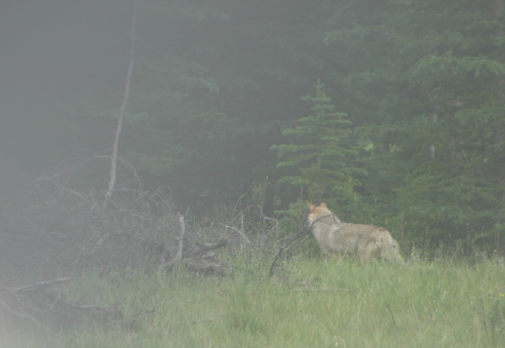 [AK09 Leg 7 Lake Louise 039[9].jpg]
