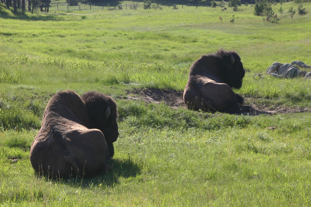 [2009-06-27 Leg 3 003[6].jpg]