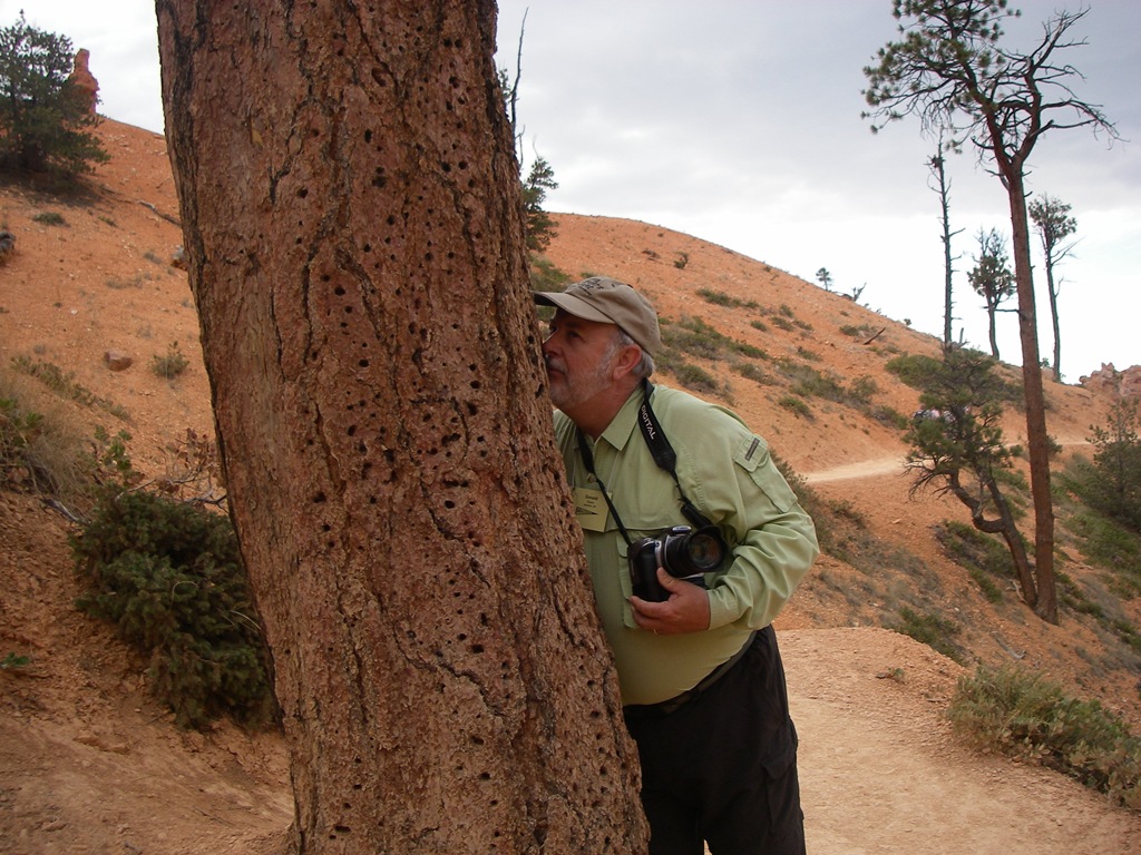 [SW USA 08 Day 13 012[4].jpg]