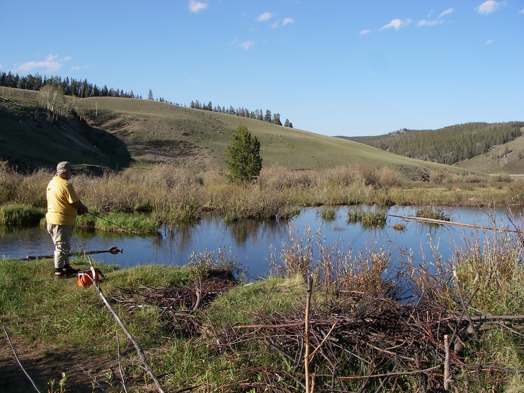 [Summer 07 068[4].jpg]