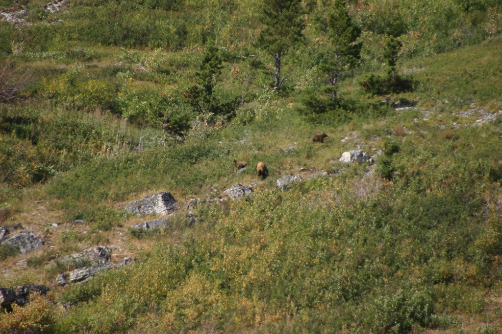[Glacier National Park, etc. 2007 129[4].jpg]