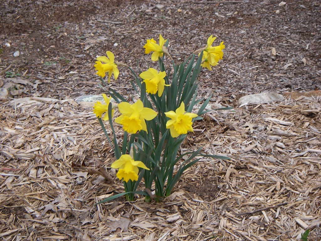 [2009-03 RGV 014[4].jpg]