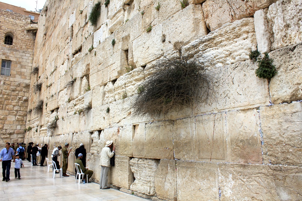 [IMG_0629 blog[4].jpg]