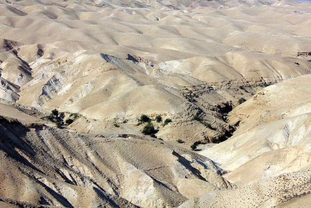 [IMG_0747 blog[4].jpg]