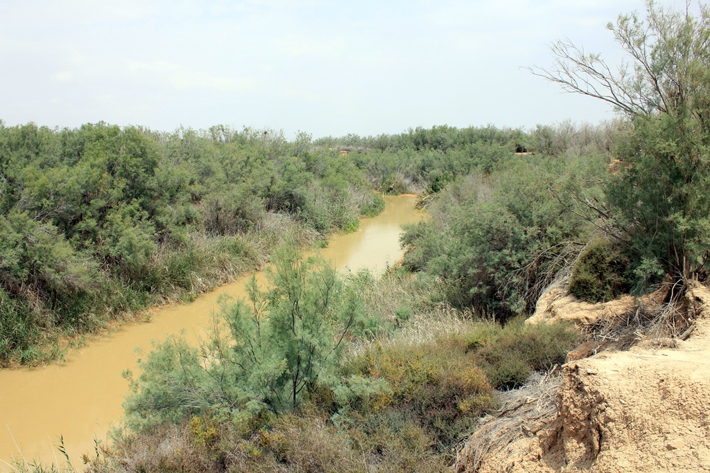 [IMG_0854 blog[4].jpg]