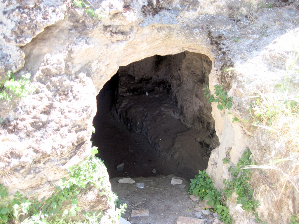 [IMG_1782 blog[3].jpg]