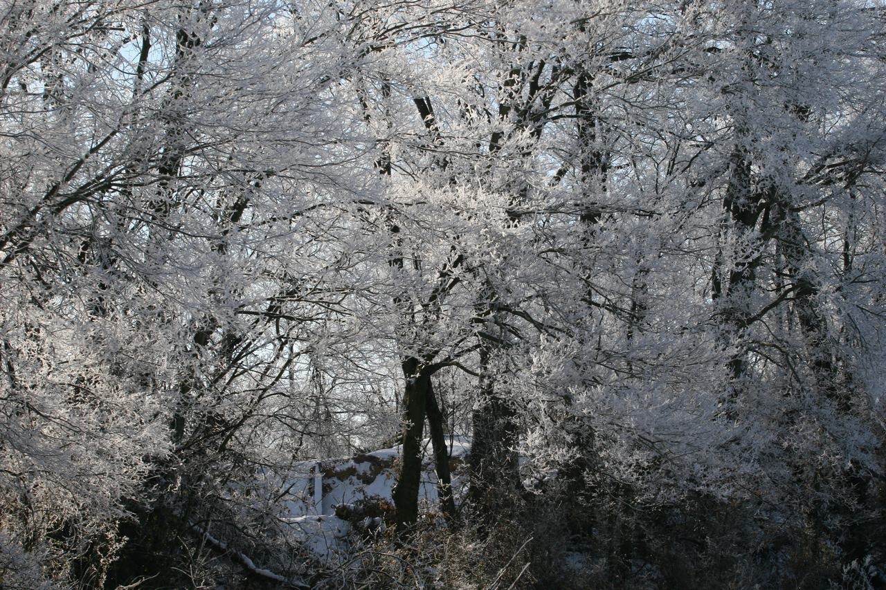 [frozen[10].jpg]