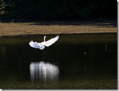 IMG_3449_edited