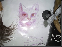 gato de Salva para Salem :)