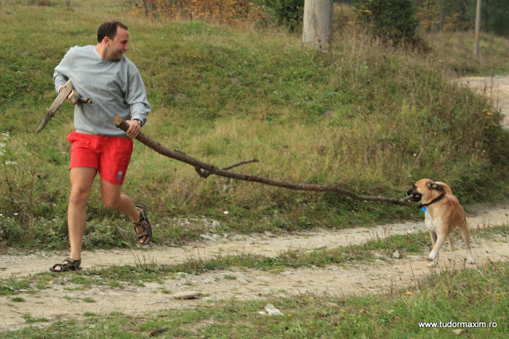 La pensiunea Dor de Bucovina