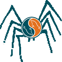 MySQL Spider