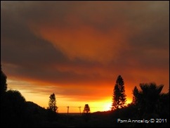 IMG_0036 IMG_0036