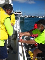 IMG_0074 IMG_0074