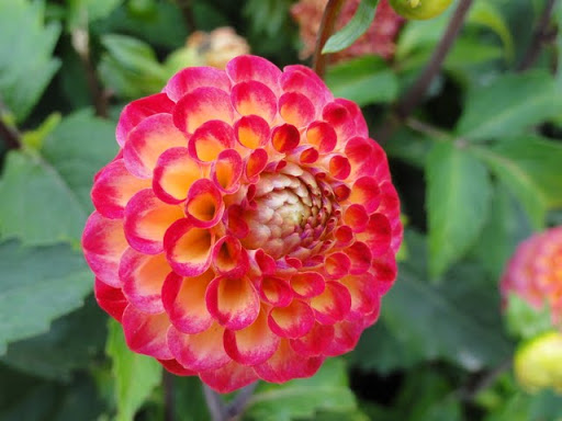 http://lh3.ggpht.com/_gWvoD1X4h1k/TKQrf-JzcfI/AAAAAAAAAGQ/-J1ByXB9XGA/DSC01310.JPG
