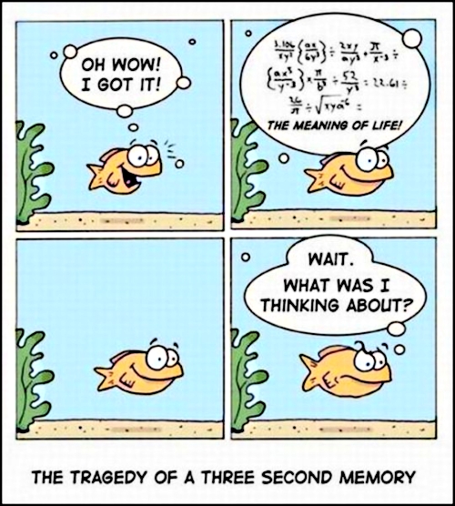 A three second memory