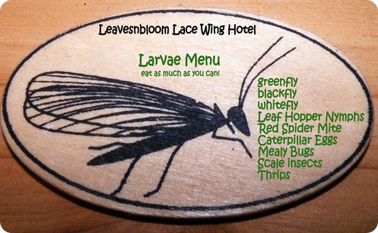Larvae Menu