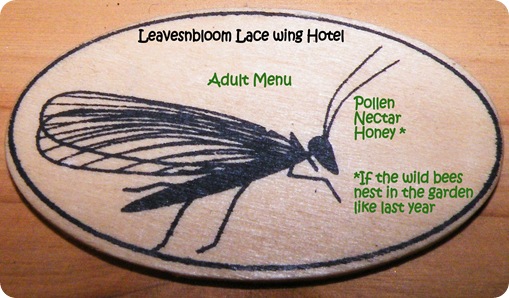 adult menu