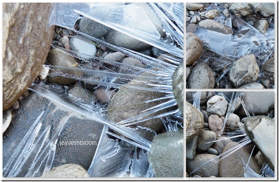 cobbled ice collage