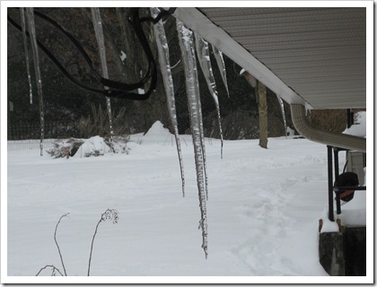 snowstorm#3_0043