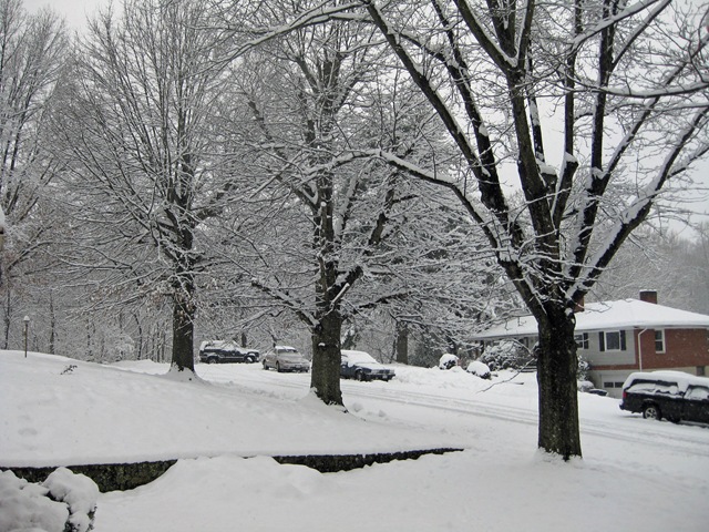 [snowstorm#3_0018_edited-1[2].jpg]