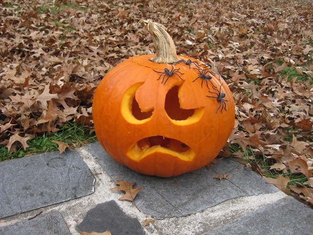 [Halloween2009_0709[2].jpg]
