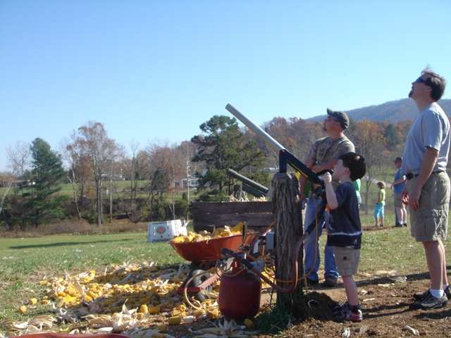 [CornMaize09_0837[2].jpg]