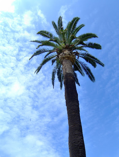 HPIM0722.JPG